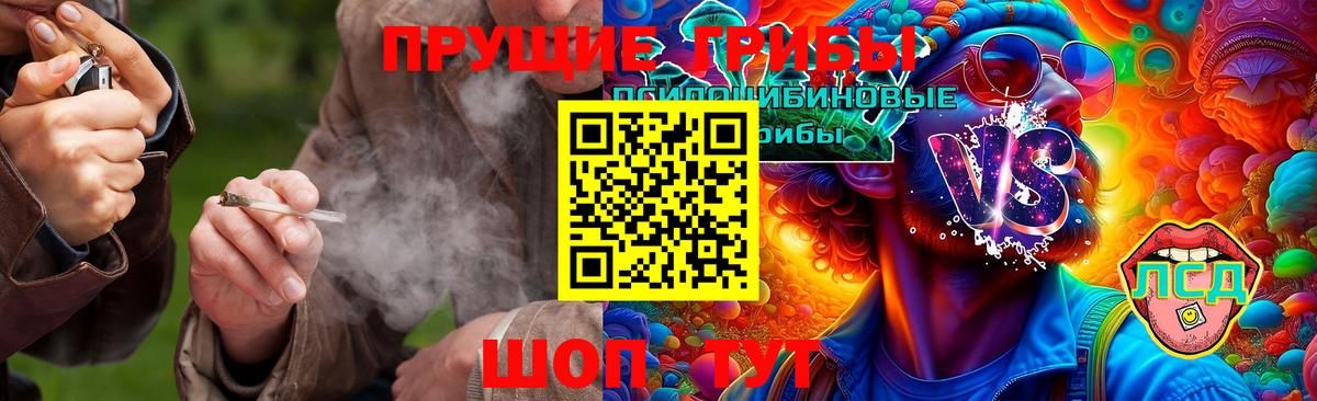 Галлюциногенные грибы Psilocybe  Вход с VPN  Можга 