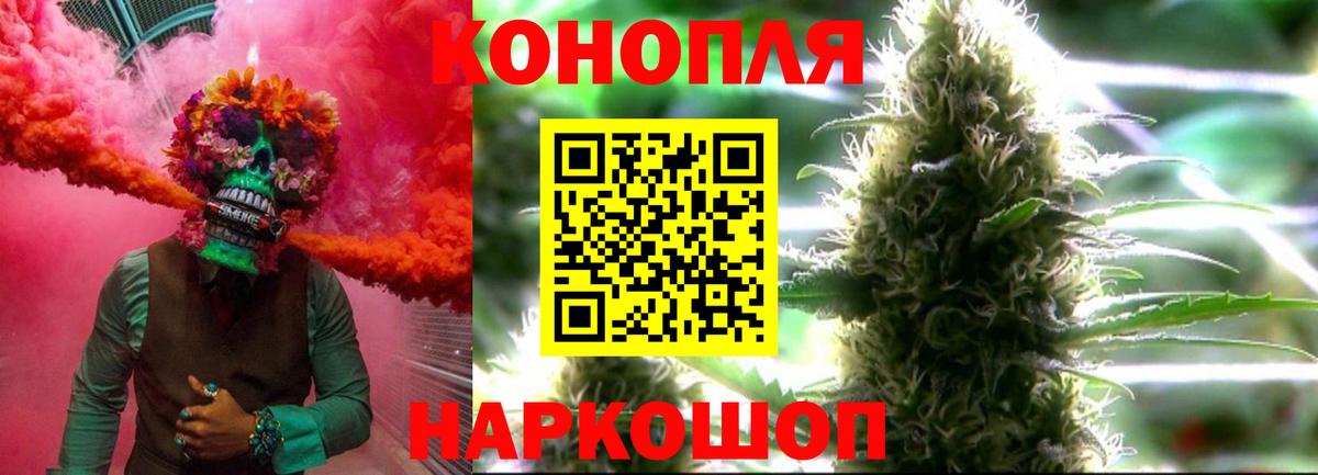 Бошки Шишки Ganja Можга